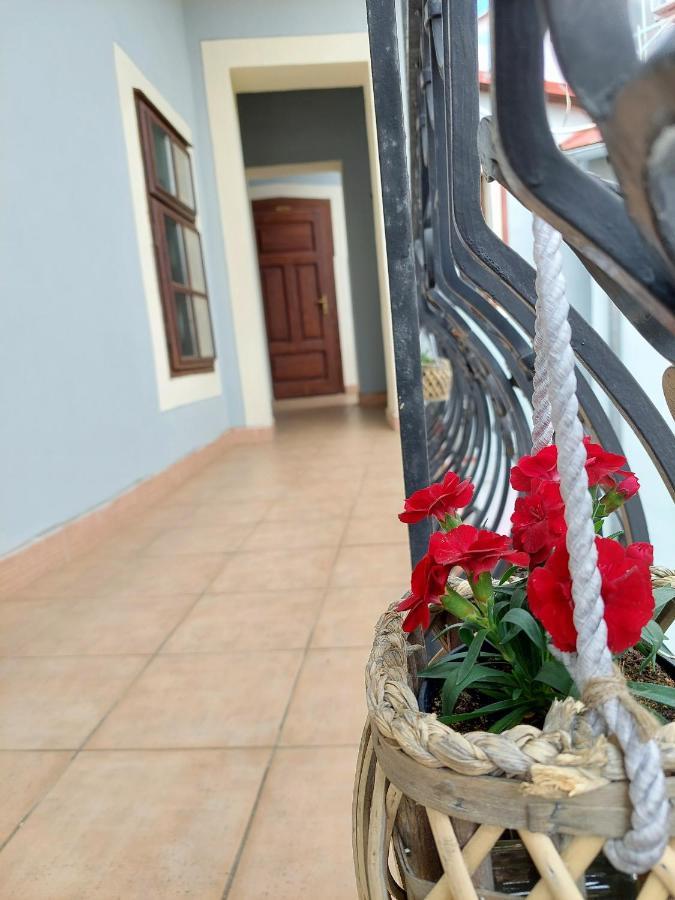 Hotel Salamander - Garni Banská Štiavnica 외부 사진